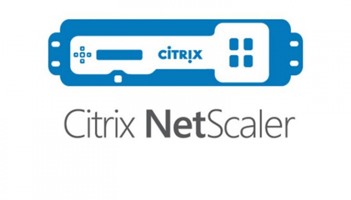 Vulnerabilidad en Citrix Netscaler permite atques DDOS contra miles de usuarios